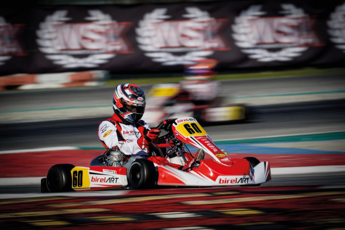 Birel Art distribuidor oficial karting españa accesorios kart carreras kart gasolina racing kart freeline  rotax motor