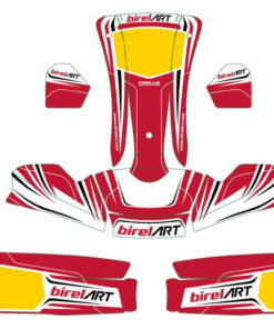 ADHESIVOS MK20/4L/MINI EVO BIRELART 2023