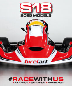 Chasis Birelart